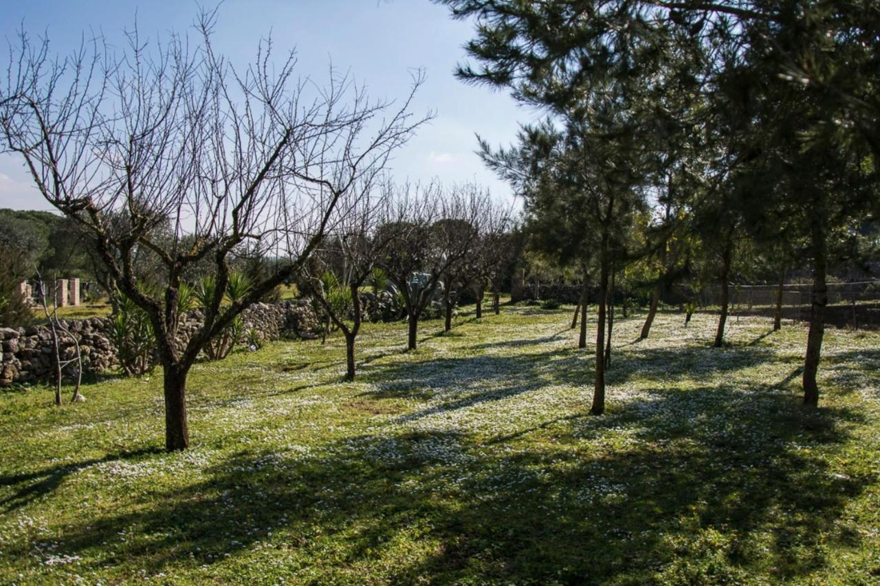Casale Sombrino Casa de hóspedes Supersano Exterior foto